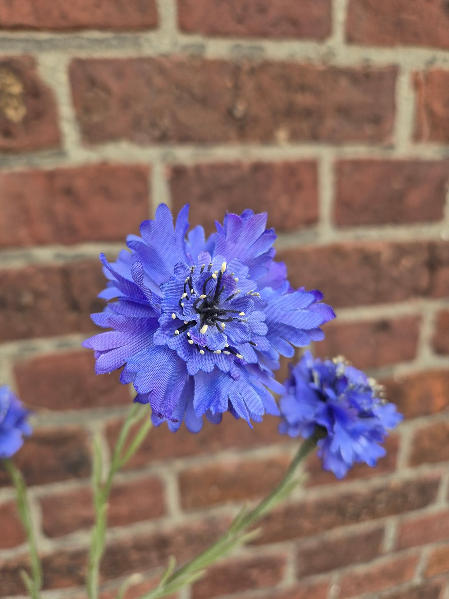 Korenbloem lang Blue zijden bloem