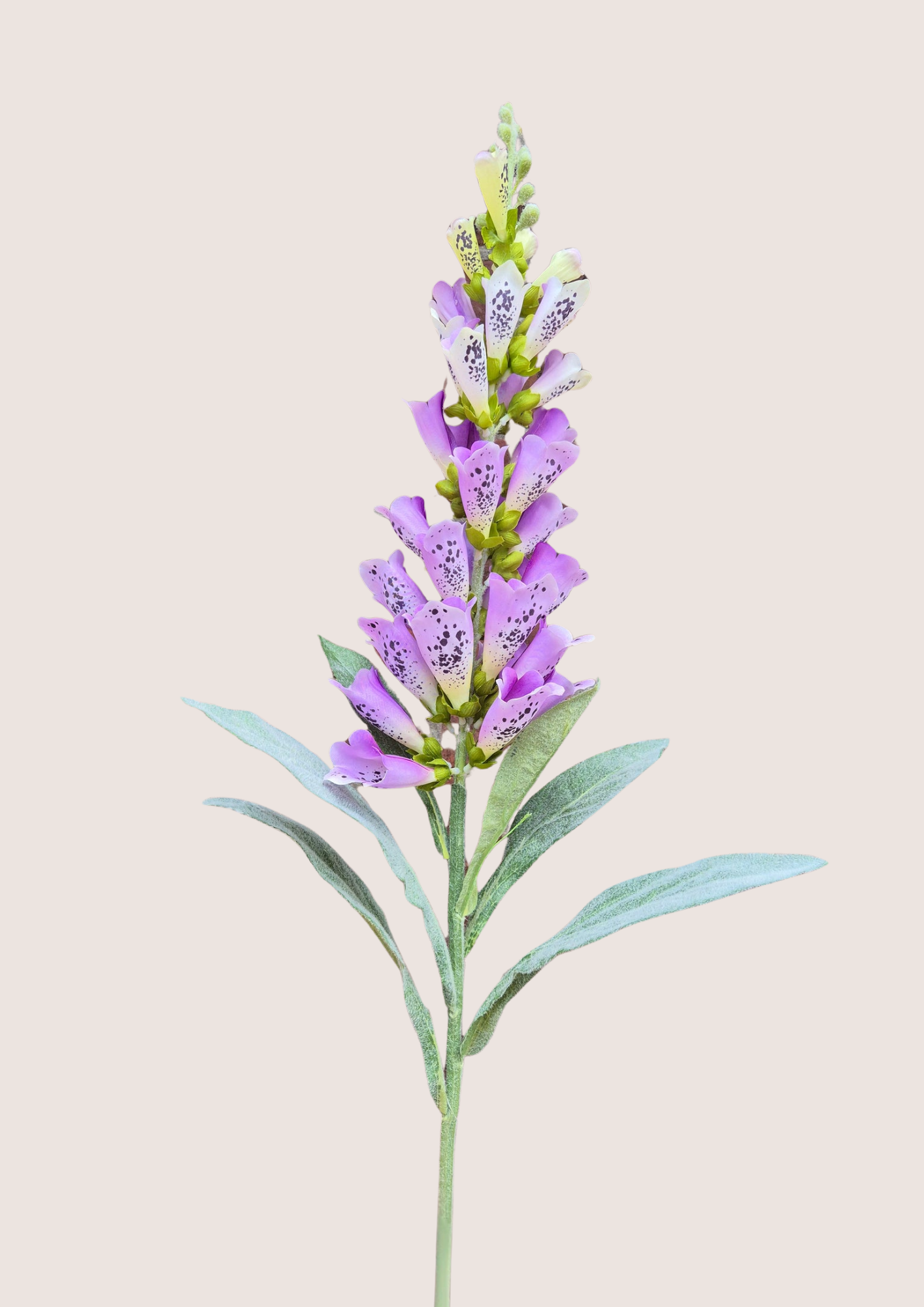 Digitalis Lila zijden bloem