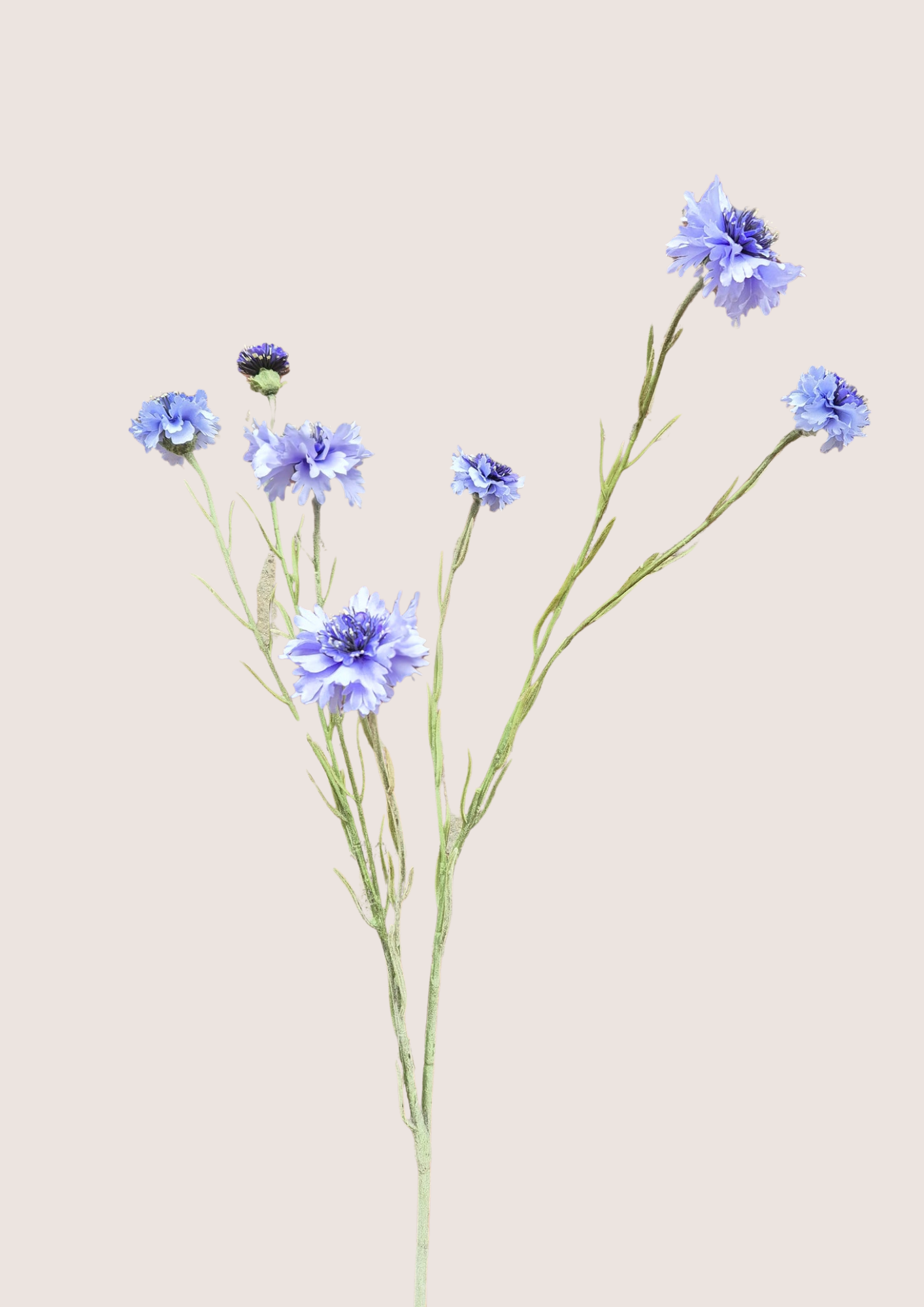 Korenbloem lang Light Blue zijden bloem