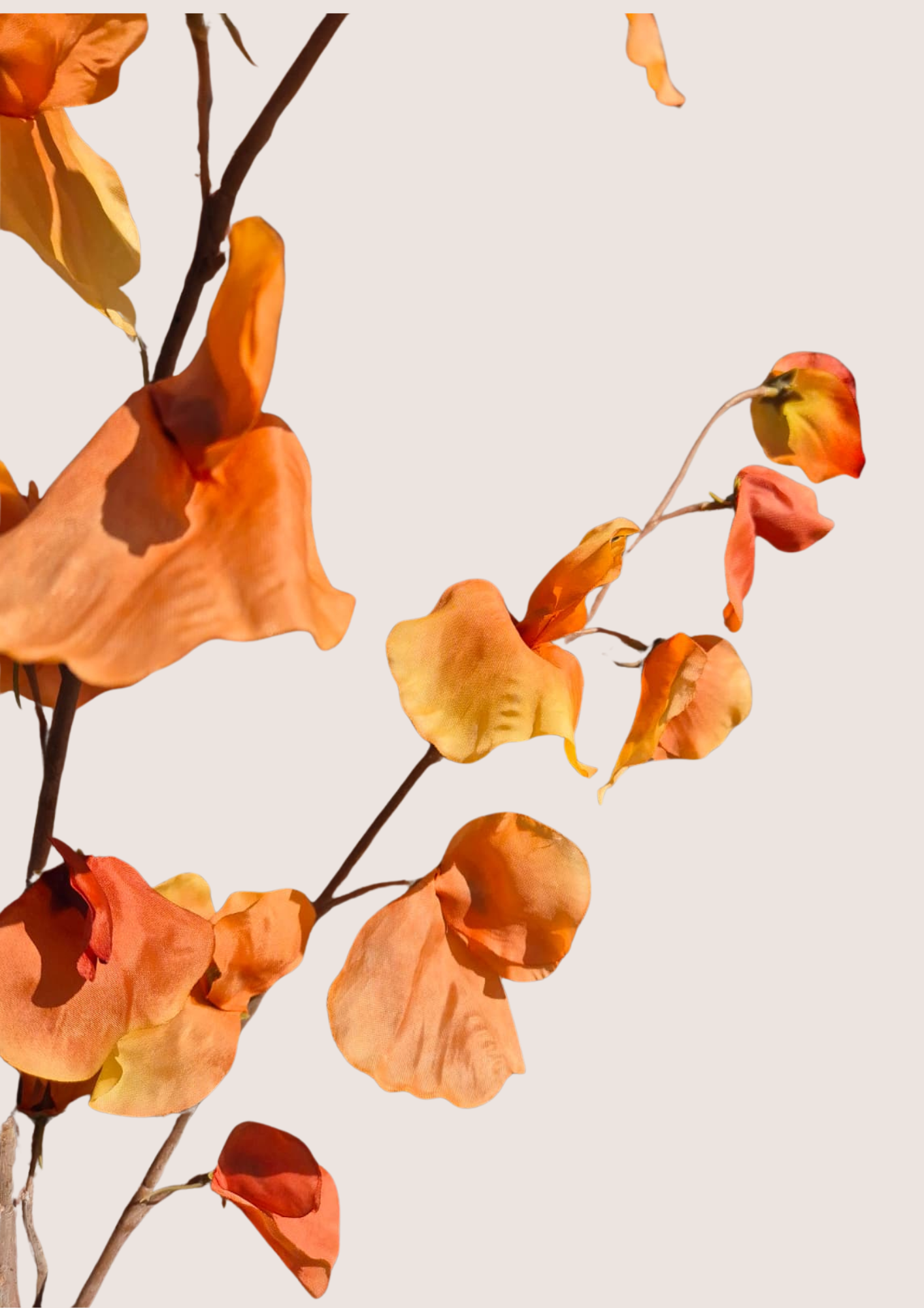 Zijden Lathyrus Tak Oranje – 110 cm
