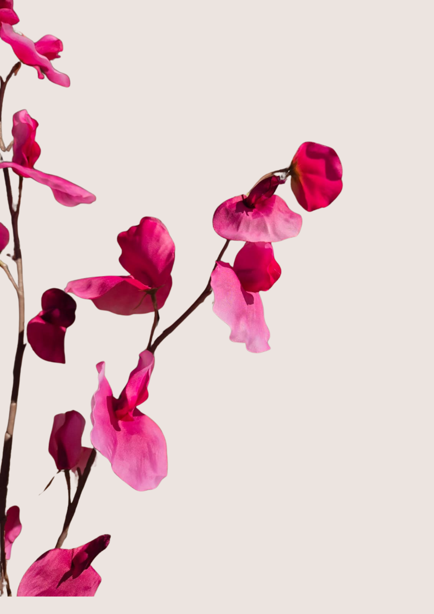 Zijden Lathyrus tak roze – 110 cm