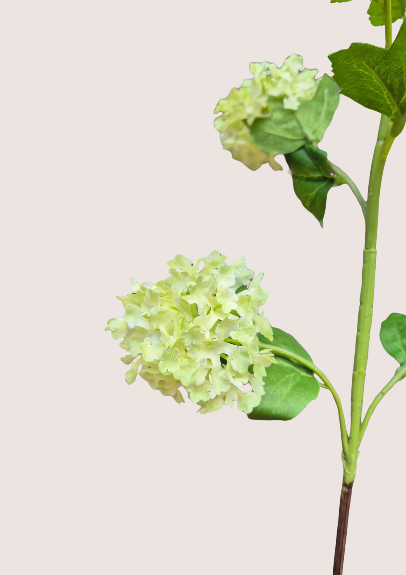 Viburnum Green zijden bloem