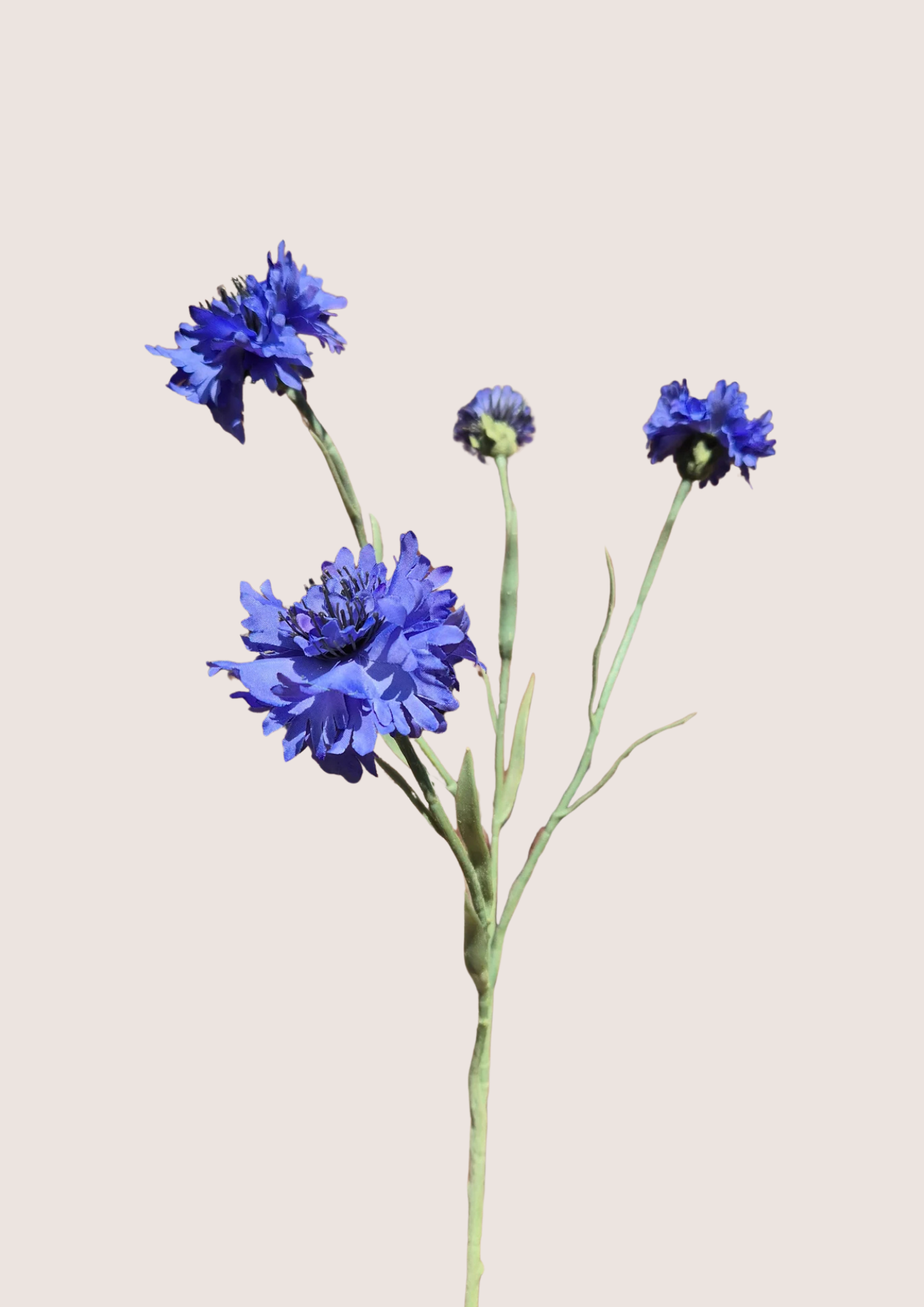 Korenbloem kort Blue Zijden bloem