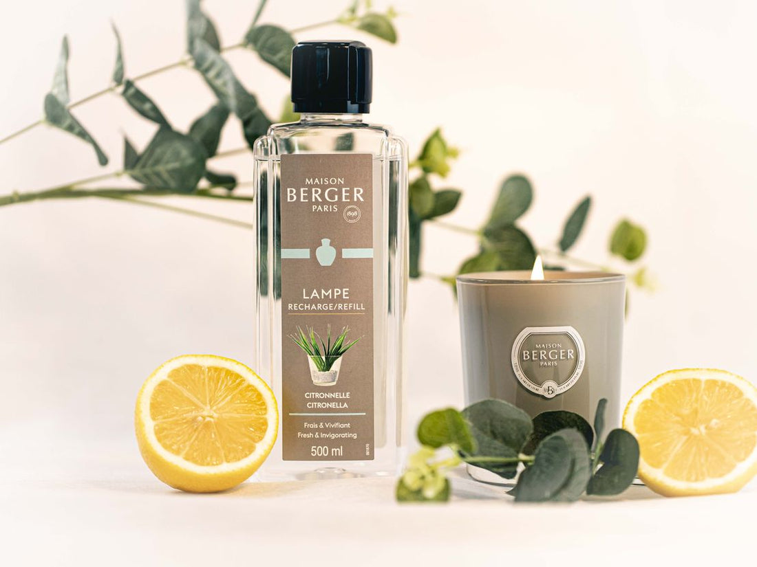 Citronella lijn Maison Berger