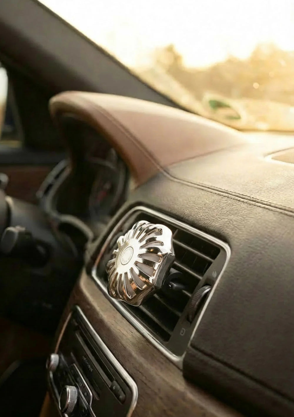 Autodiffuser Coralie