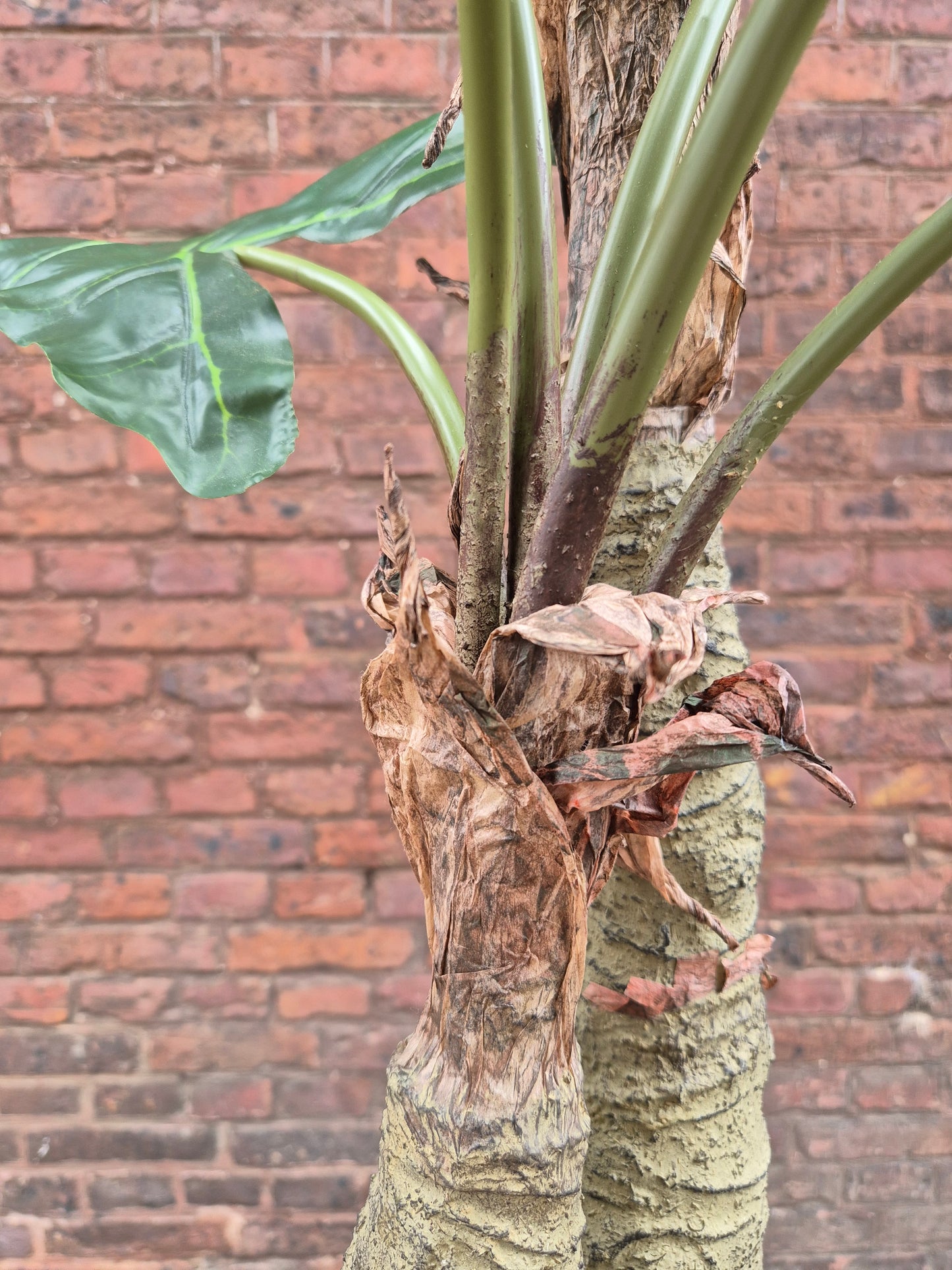Alocasia zijden plant in pot