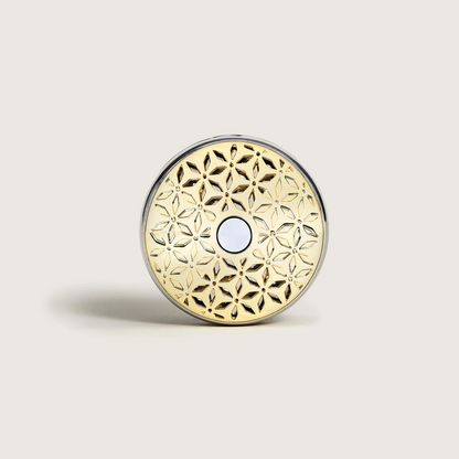 Autodiffuser Pomelis