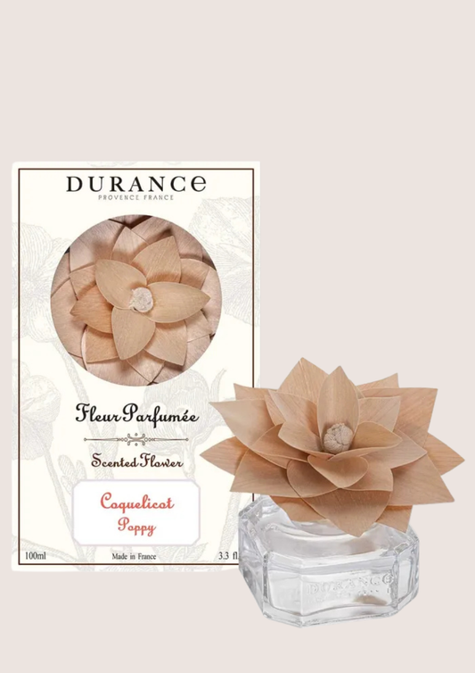 Houten geurbloem in glas Durance