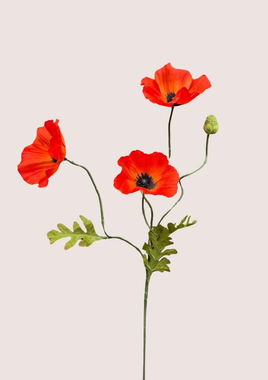 Klaproos zijden bloem