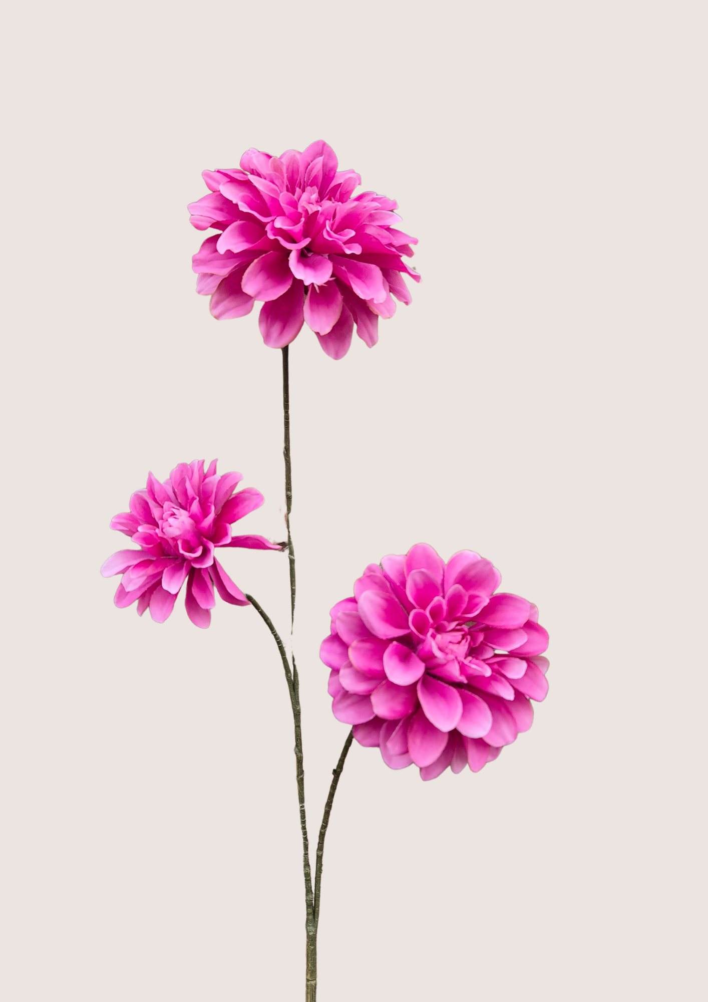 Dahlia zijden bloem