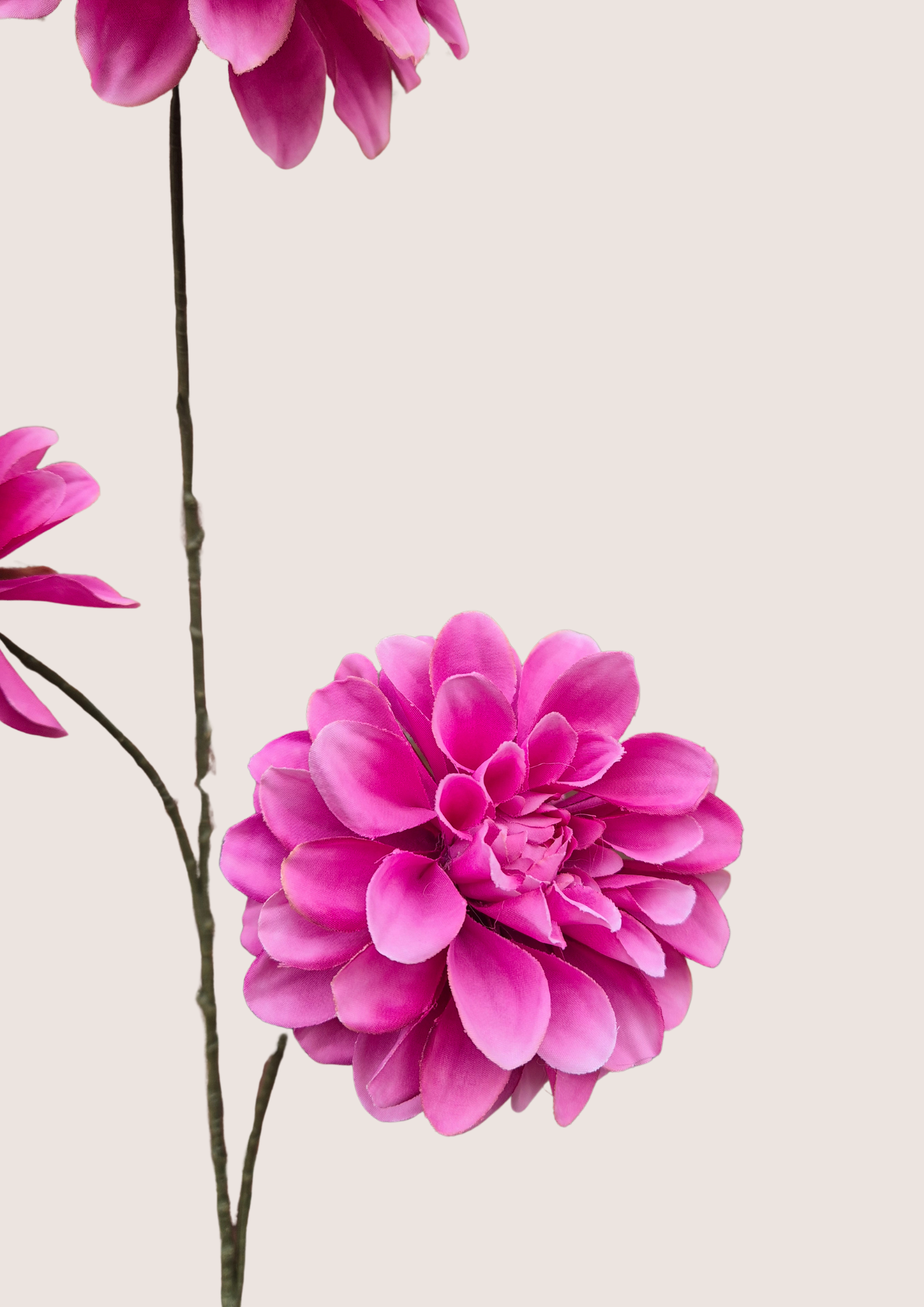 Dahlia zijden bloem