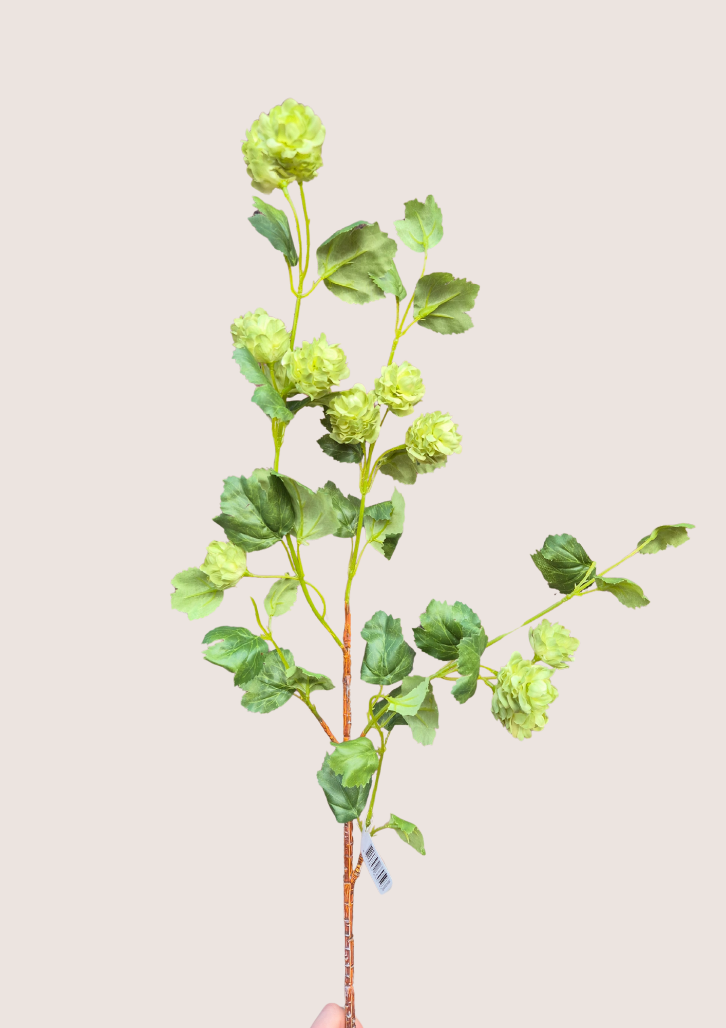 Hop tak groen zijden bloem