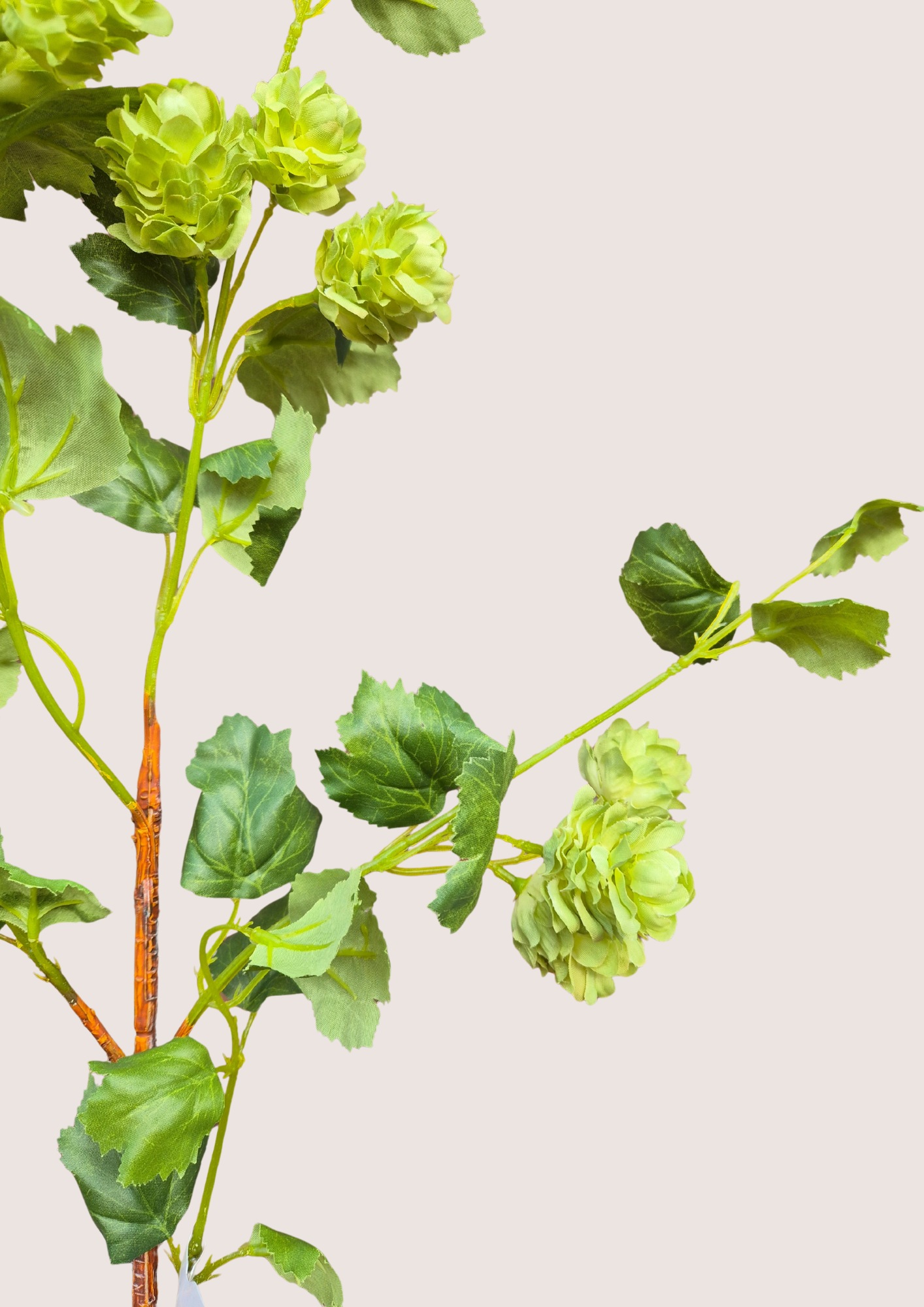 Hop tak groen zijden bloem