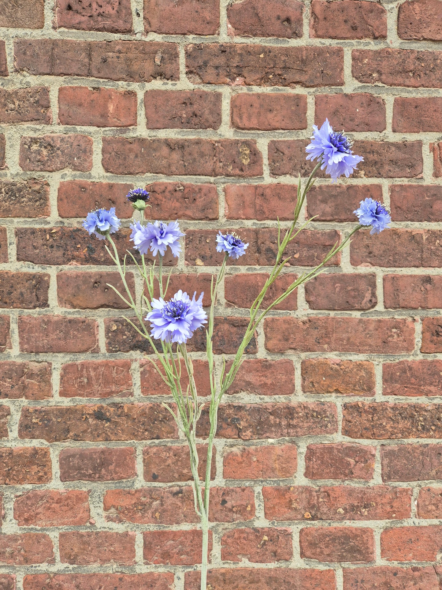 Korenbloem lang Light Blue zijden bloem