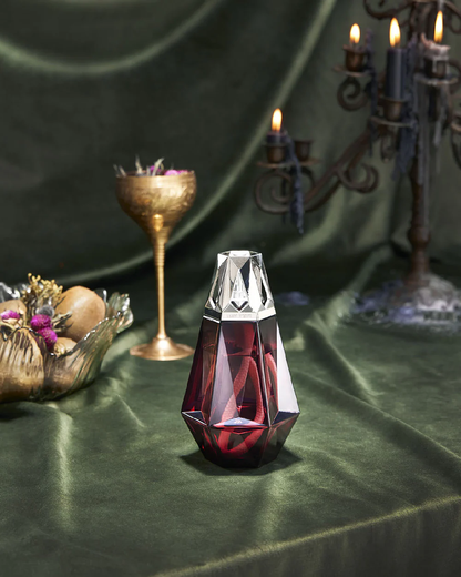Lampe Berger Prisme Grenat met Terre Sauvage