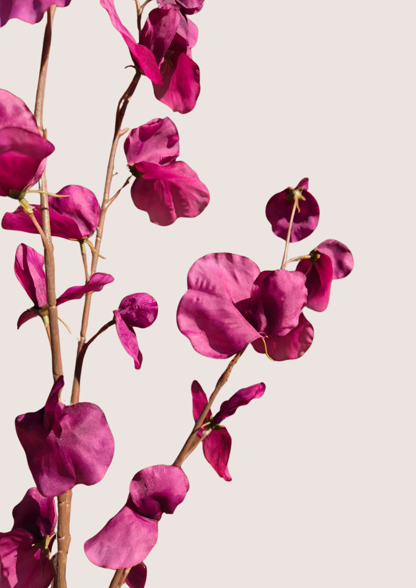 Zijden Lathyrus Tak Paars – 110 cm