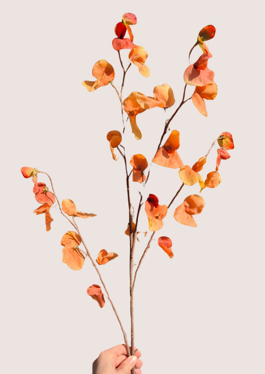 Zijden Lathyrus Tak Oranje – 110 cm