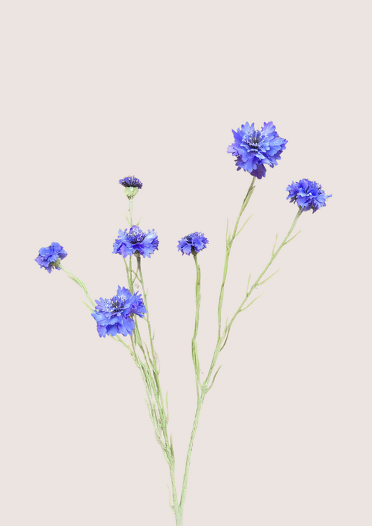 Korenbloem lang Blue zijden bloem