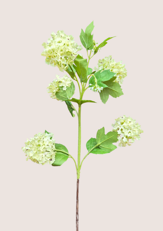Viburnum Green zijden bloem