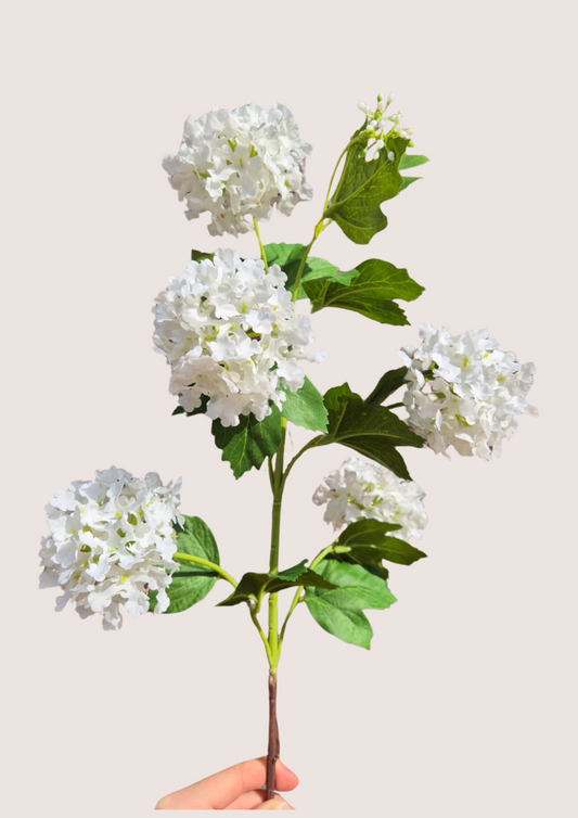 Viburnum wit zijden bloem