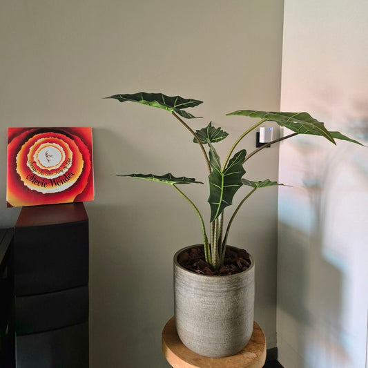 Zijden Alocasia klein
