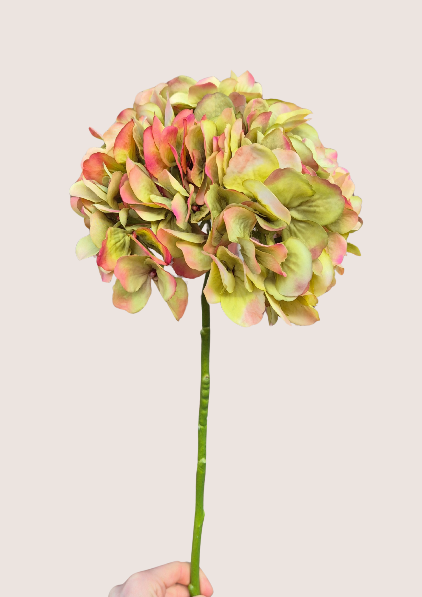 Zijden hortensia groen