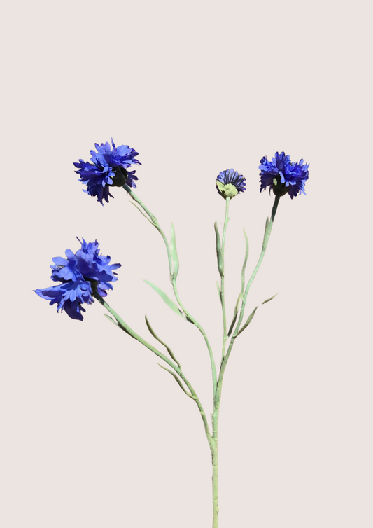Korenbloem kort Blue Zijden bloem