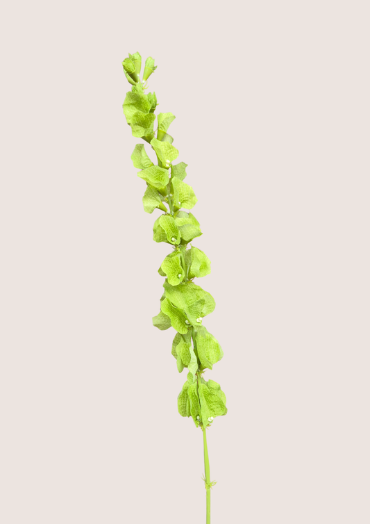 Zijden molucella bloem