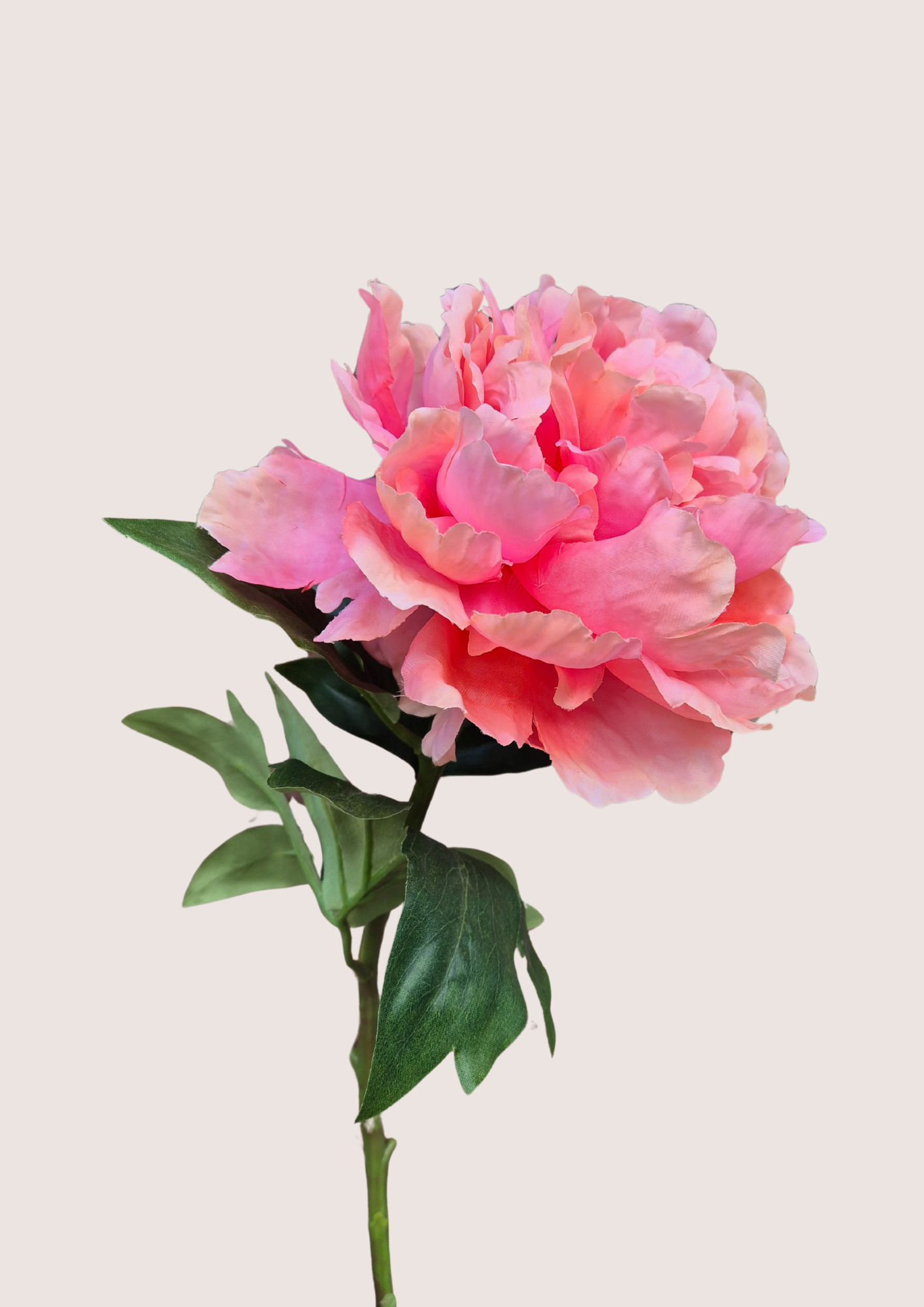 Zijden roze pioenroos met steel