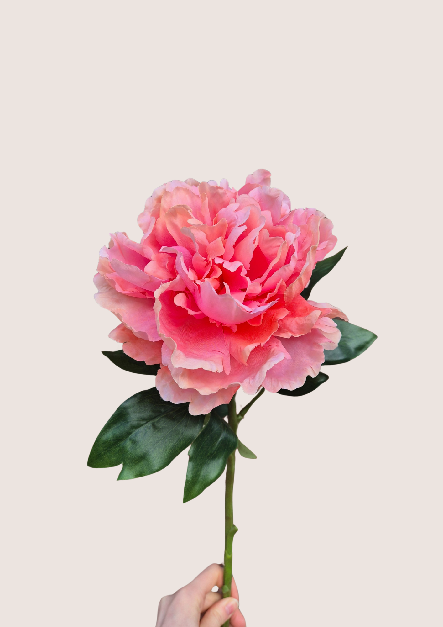 Roze zijden pioenroos met steel