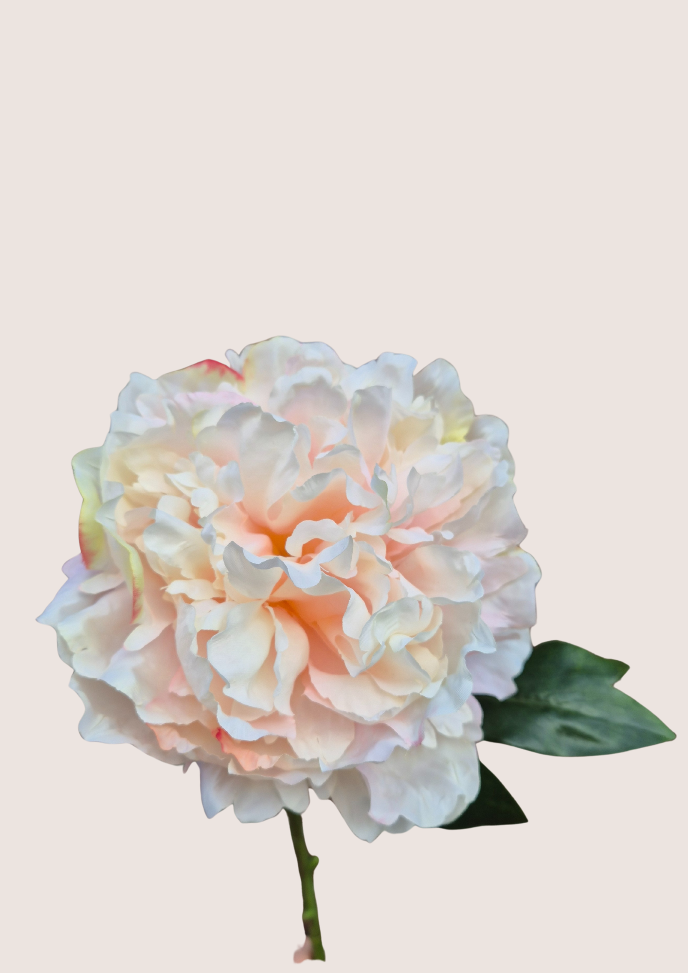 Zijden pioenroos zachtroze