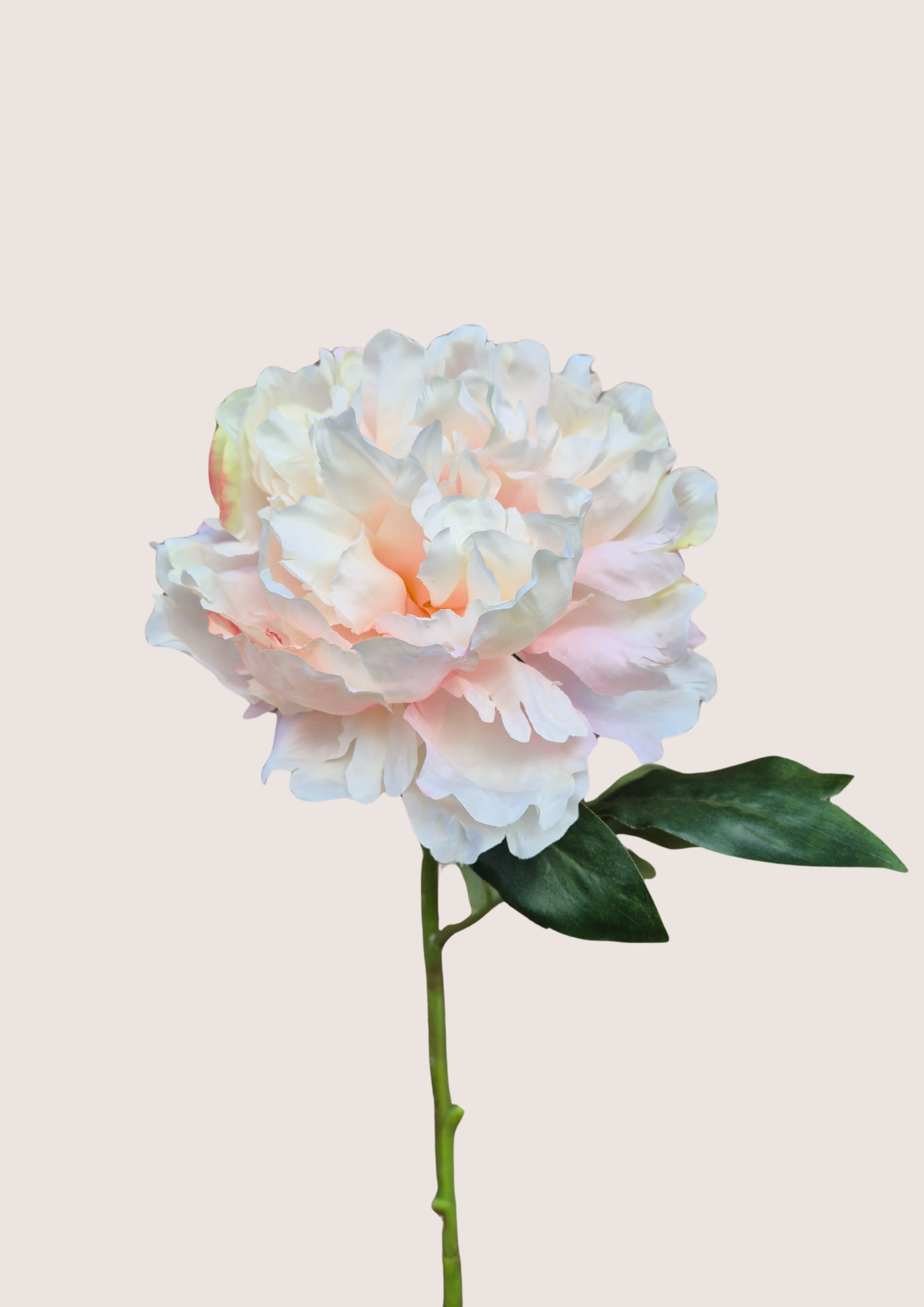 Zijden pioenroos zachtroze