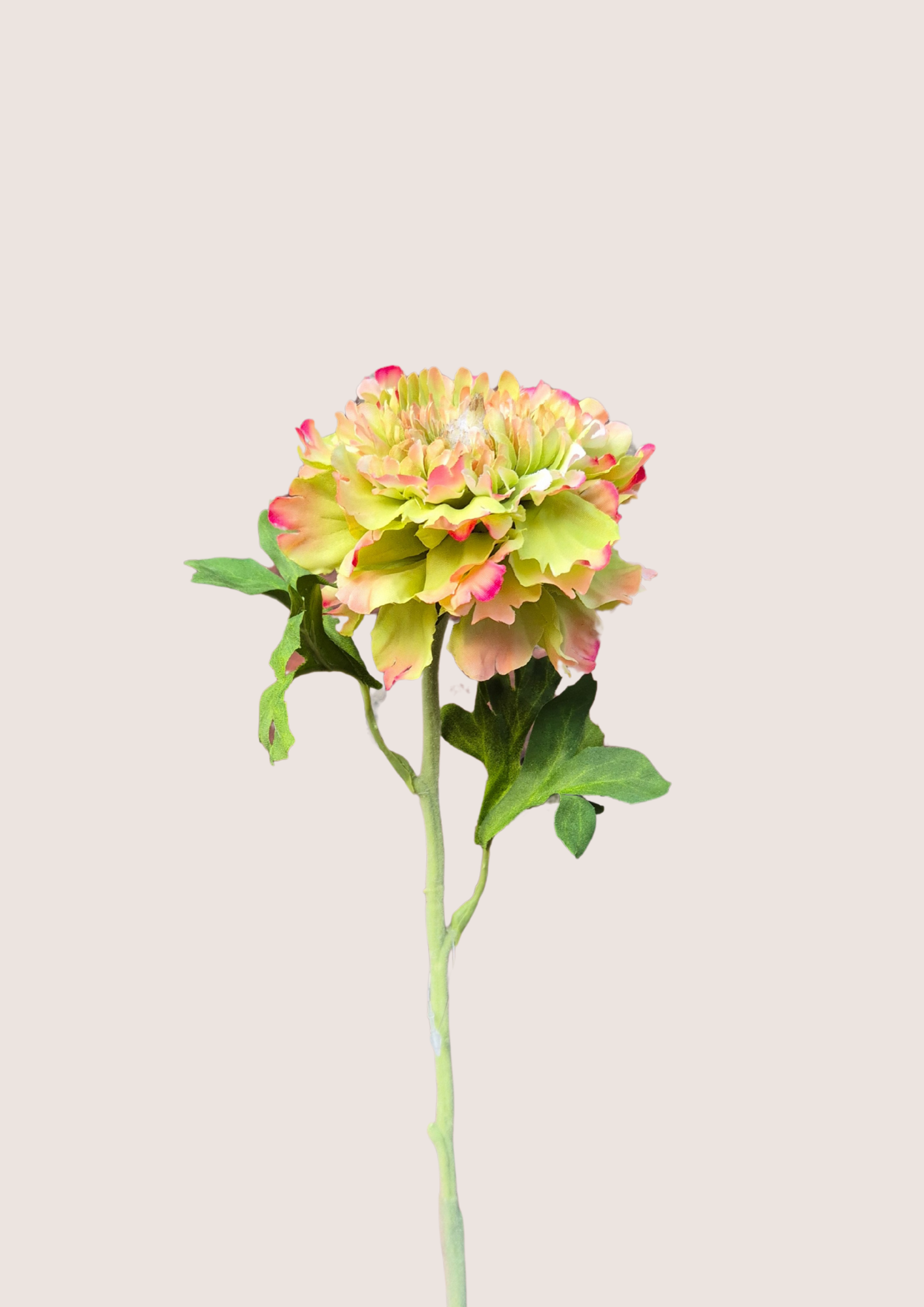 Kunstbloem ranonkel groen