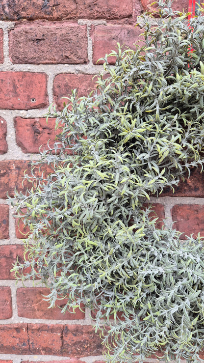 Zijden rozemarijn krans