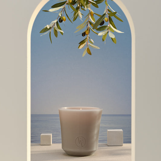 Citronella wax kaars 60u