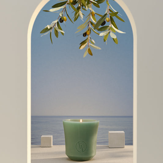 Citronella wax kaars 30u
