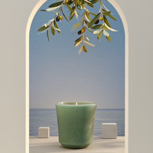 Citronella wax kaars 60u