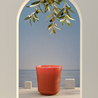 Citronella wax kaars 60u