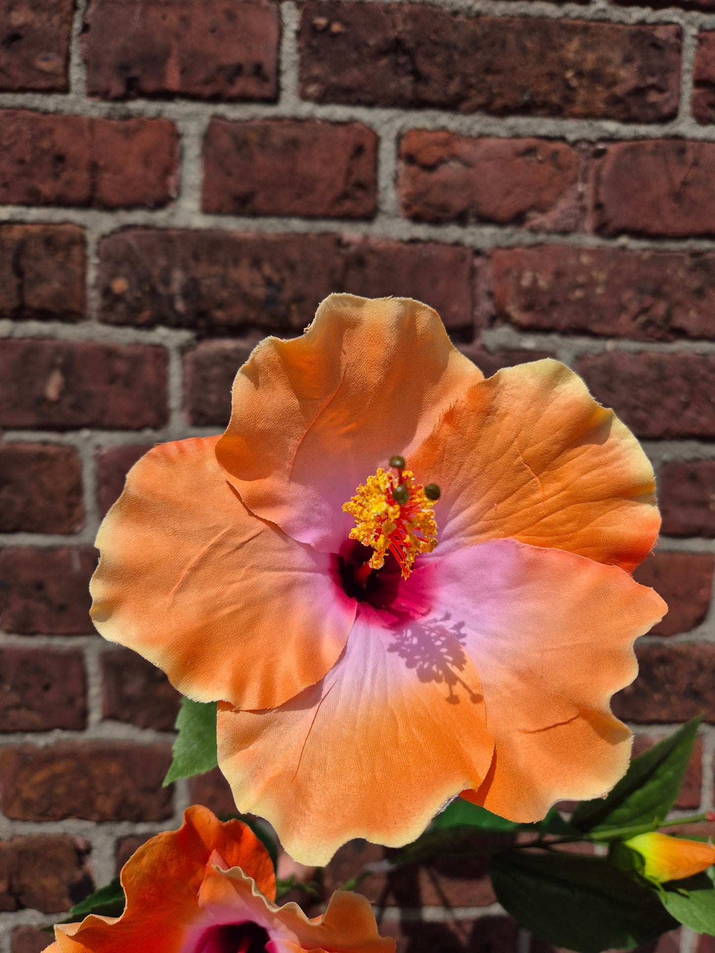 Hibiscus Oranje zijden bloem