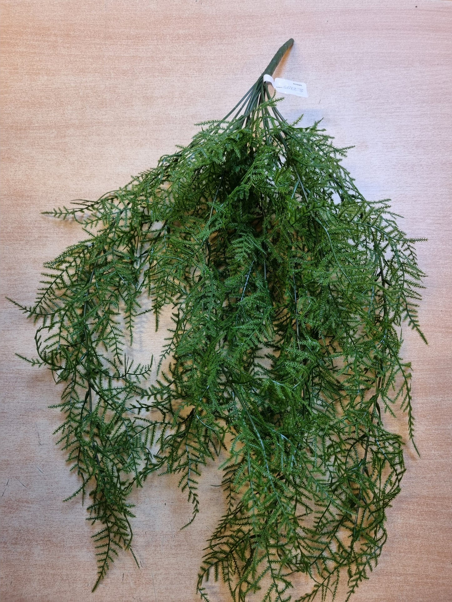 Zijden Varen bush