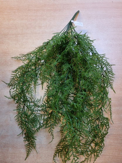 Zijden Varen bush