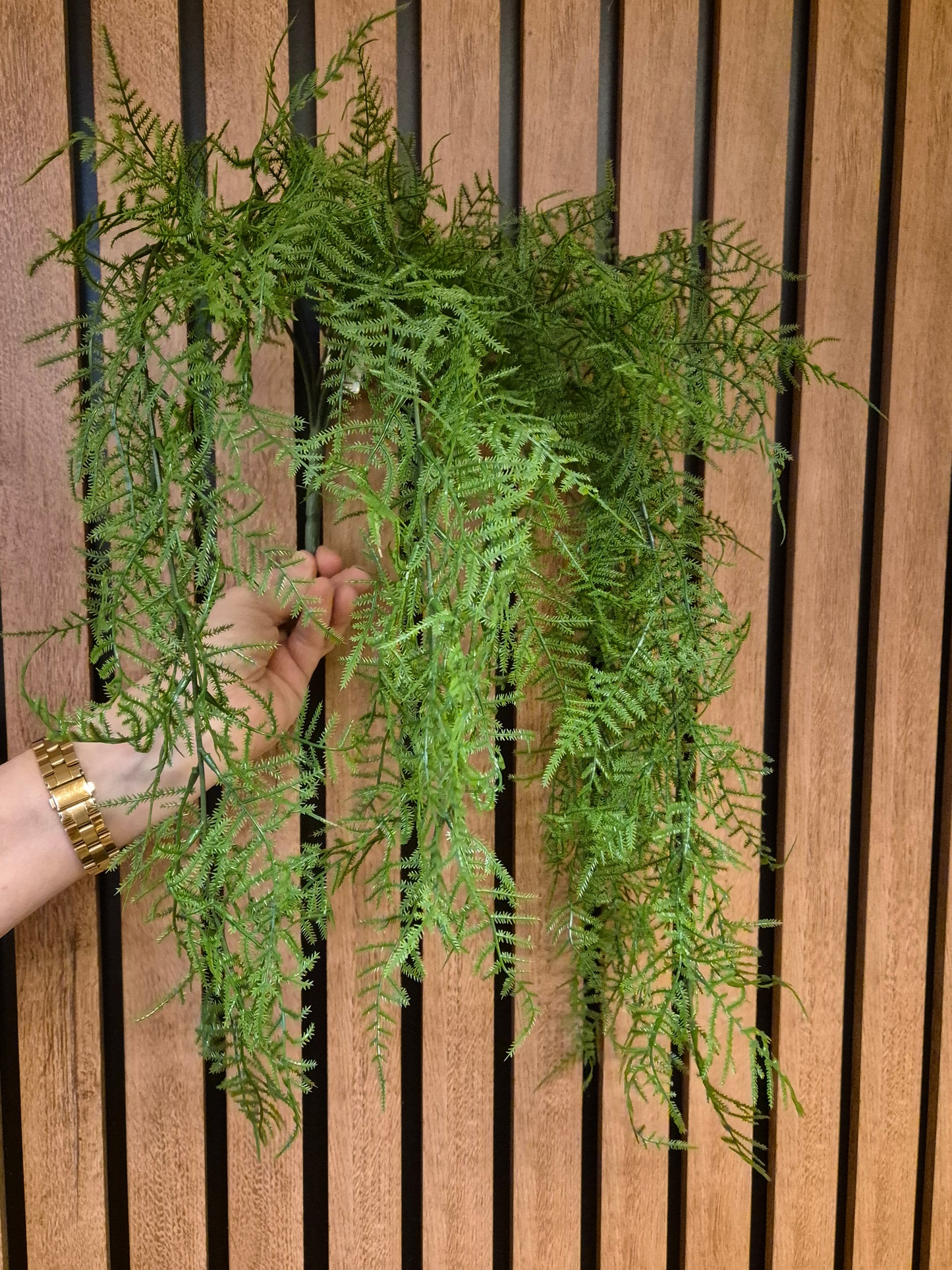 Zijden Varen bush