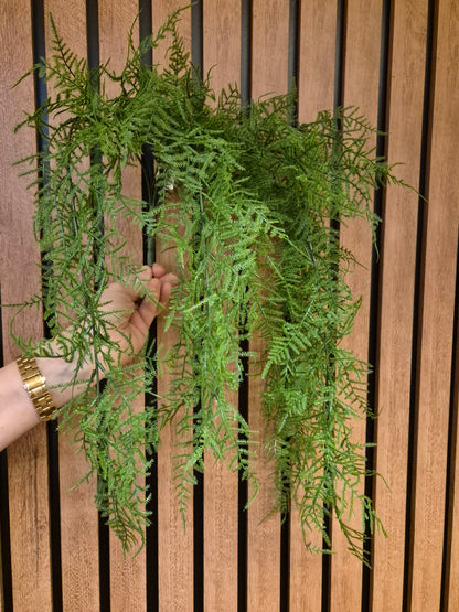 Zijden Varen bush