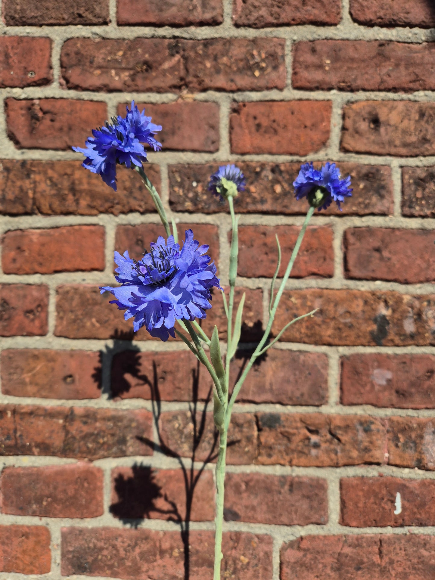 Korenbloem kort Blue Zijden bloem